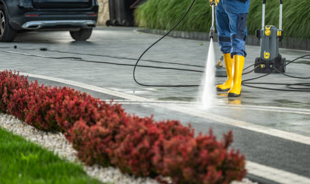 Boat and Dock Cleaning in Boyce, LA